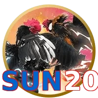 SUN20